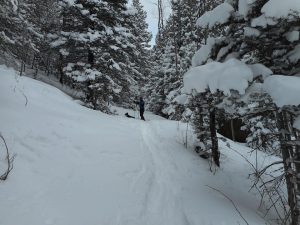Aspen Acres Campground is great for cross country skiing