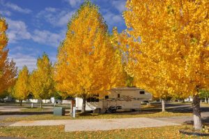 Uncompahgre River RV Park, in Olathe CO, offers long RV sites. For those without RVs, consider tent camping or renting one of their cabins.