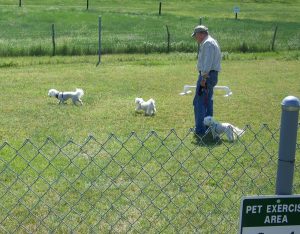 Camping with pets at Colorado RV parks and campgrounds