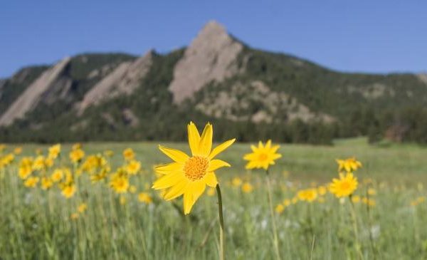 co_photoproject2007_0722