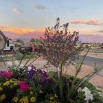 Canyon View RV Resort in Grand Junction CO campsites