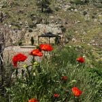 CanyonSide Campground in the Poudre Canyon west of Fort Collins Colorado