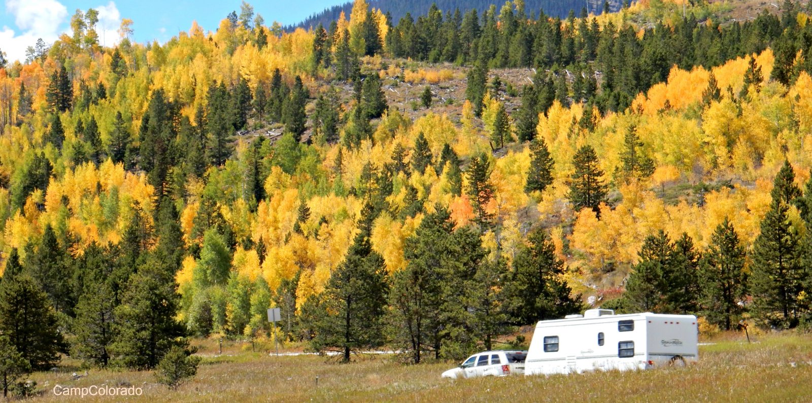 Rving and Aspen leaves in Colorado