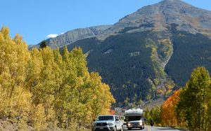 Aspen trees in Colorado in autumn