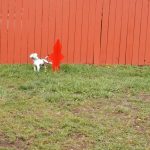 Dog run pet area at Circle the Wagon RV Park (La Veta CO)