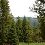 Scenery at Grand Lake / Rocky Mountain National Park KOA Journey