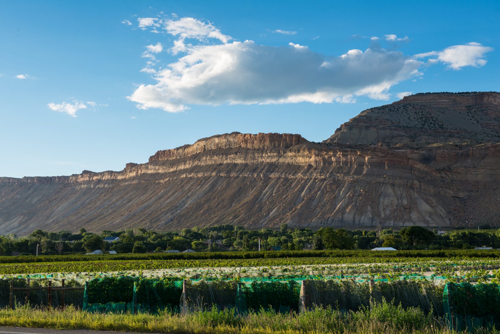 Camping Vacation in Colorado's Mountains & Mesas Region Camp Colorado