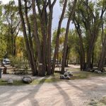 Campsites at Chalk Creek Campground near Buena Vista & Salida Colorado