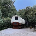 Covered wagon glamping option at Cutty's Hayden Creek Resort in the Rocky Mountains of Colorado