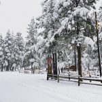 Ouray KOA Holiday - a winter scene