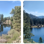 Peaceful water at 5 Branches Camper Park in Colorado in the Bayfield Vallecito area