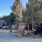 San Isabel Lodging in Rye Colorado at Beautiful San Isabel Lake