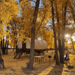 Silver Thread Basecamp in South Fork Colorado - covered-wagons