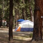 Sportsman's Campground and Mountain Cabins NW of Pagosa Springs Colorado tent camping