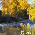 Uncompahgre River RV Park in Olathe Colorado