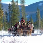 Sleigh rides in the winter at Winding River Resort Village in Grand Lake