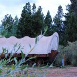 Winding River Resort in Grand Lake Colorado side view of a glamping covered wagon