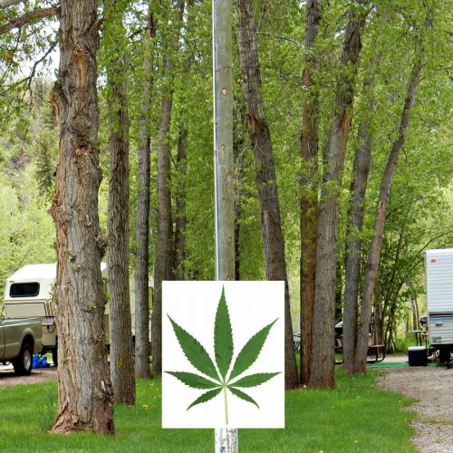 Camping in Colorado: cannabis, marijuana, THC