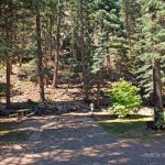 Premium RV sites with the San Juan National Forest as your neighbor at Blue Spruce RV Park (North of Bayfield Colorado)
