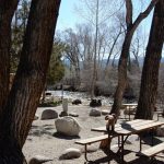 In the summer these trees fill in to make nice shady spots! (Chalk Creek RV Park & Campground)