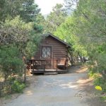 One of our 11 Cozy Cabins, nestled in the trees ~ Cutty's Hayden Creek Resort (Coaldale Colorado)