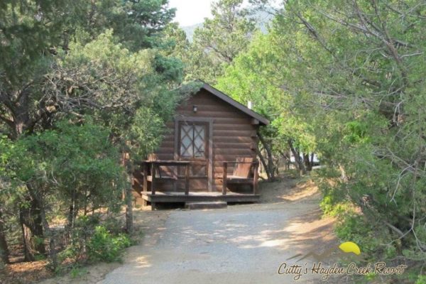 One of our 11 Cozy Cabins, nestled in the trees ~ Cutty's Hayden Creek Resort (Coaldale Colorado)