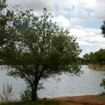 Fishing on site is available at Golden Eagle Campground INC in Colorado Springs