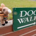 Dogs have their own 'Walk' at Goldfield RV Park in Colorado Springs