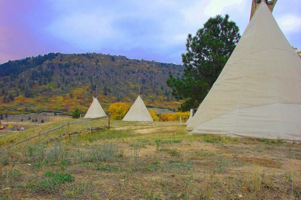 Rental tepees on the ridge at Jellystone Park at Larkspur (Colorado)