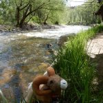 A beautiful river to relax by at Riverview RV Park! (Loveland, Colorado)