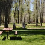 Grassy, shaded tent sites at Steamboat Springs KOA